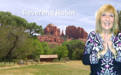 Welcome to Reverend Robin